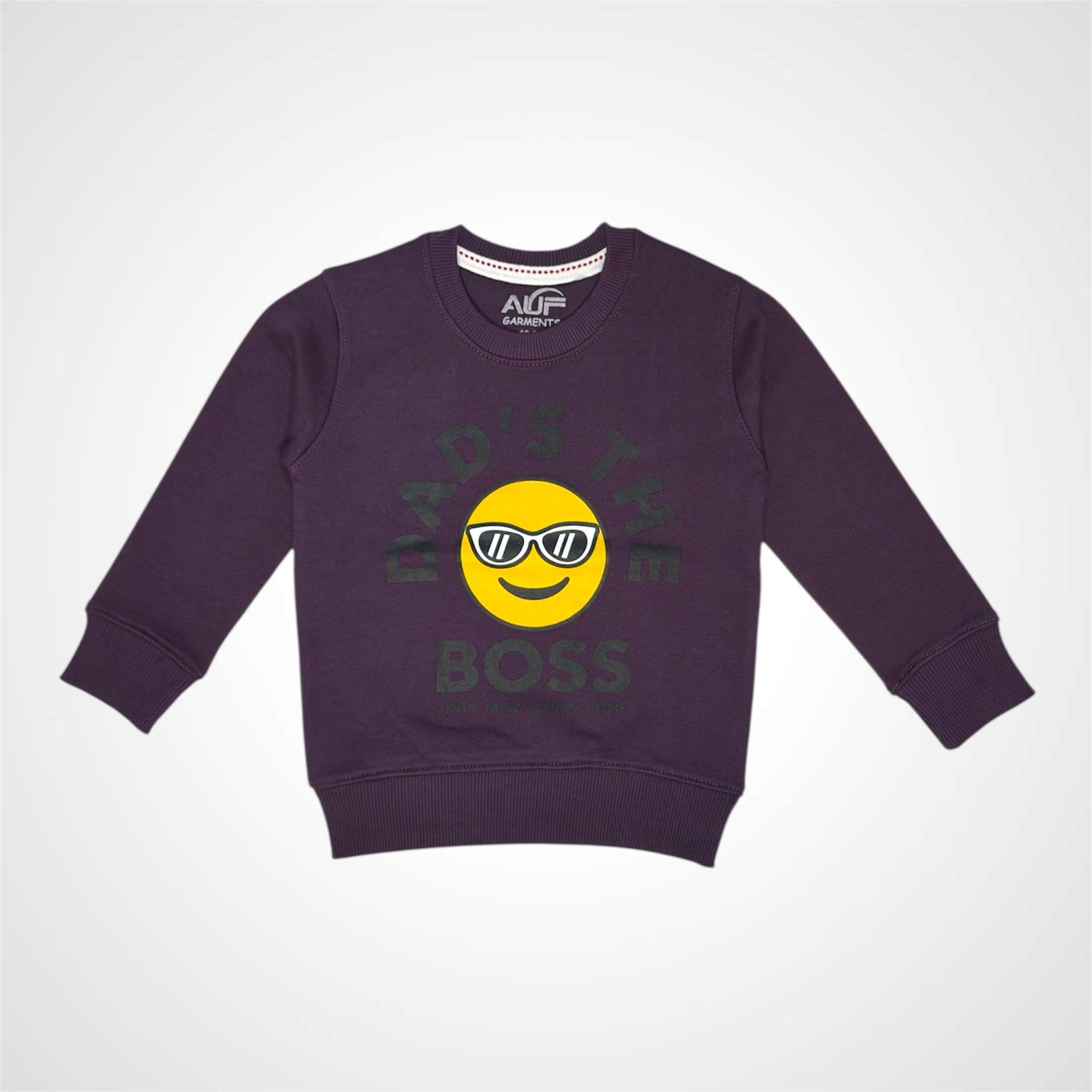 Kids Winter Sweatshirt | Stylish Printed Top for Boys