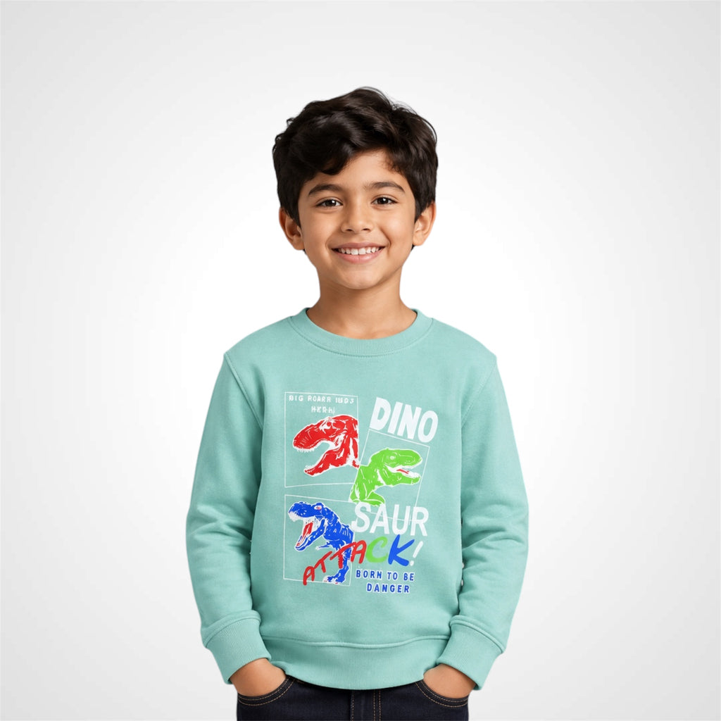 Kids Dinosaur Graphic Print Crewneck Sweatshirt
