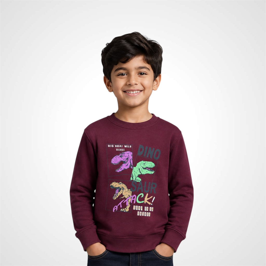 Kids Dinosaur Graphic Print Crewneck Sweatshirt
