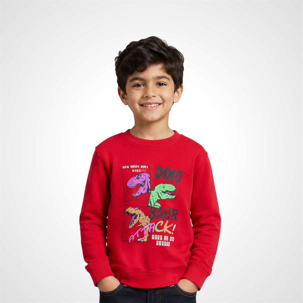 Kids Dinosaur Graphic Print Crewneck Sweatshirt