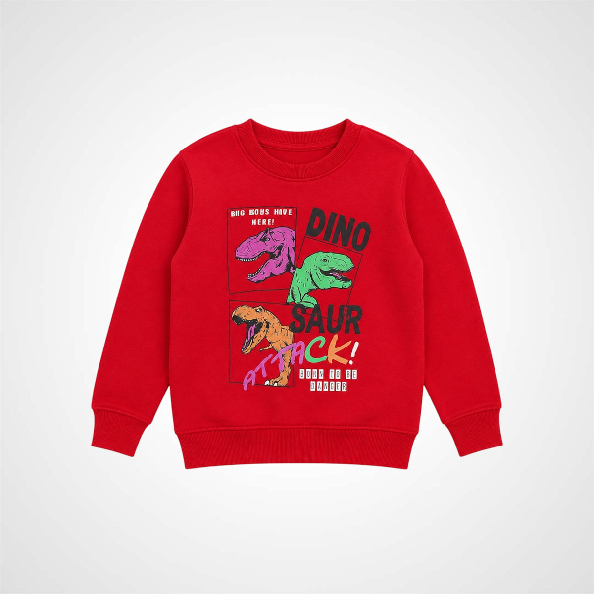 Kids Dinosaur Graphic Print Crewneck Sweatshirt