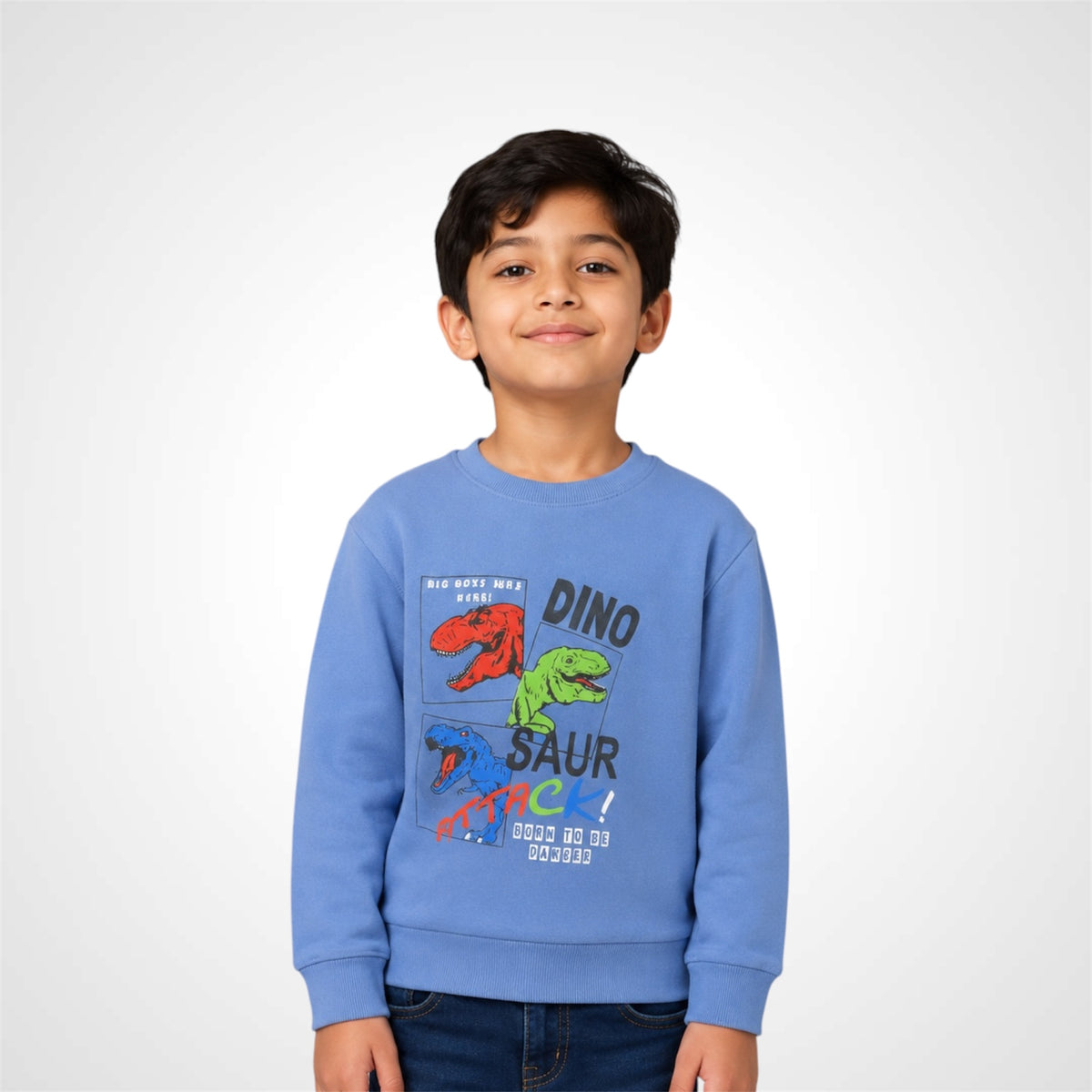 Kids Dinosaur Graphic Print Crewneck Sweatshirt