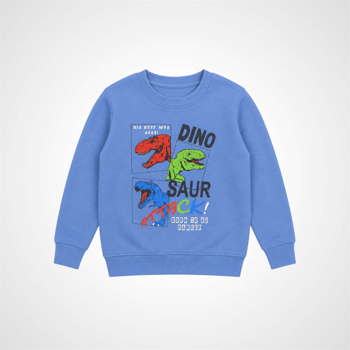 Kids Dinosaur Graphic Print Crewneck Sweatshirt