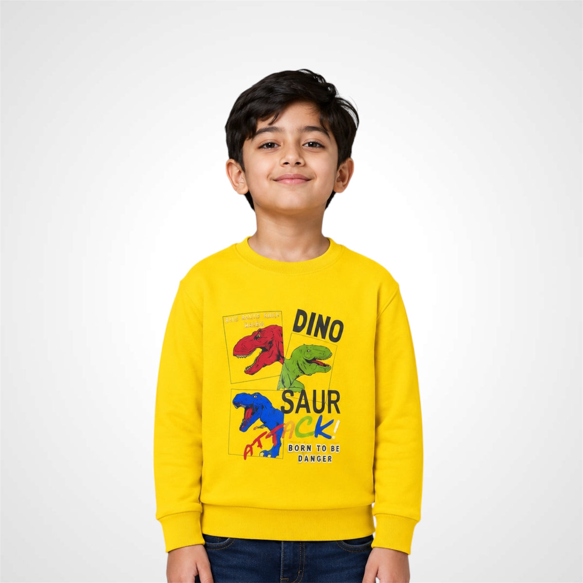 Kids Dinosaur Graphic Print Crewneck Sweatshirt