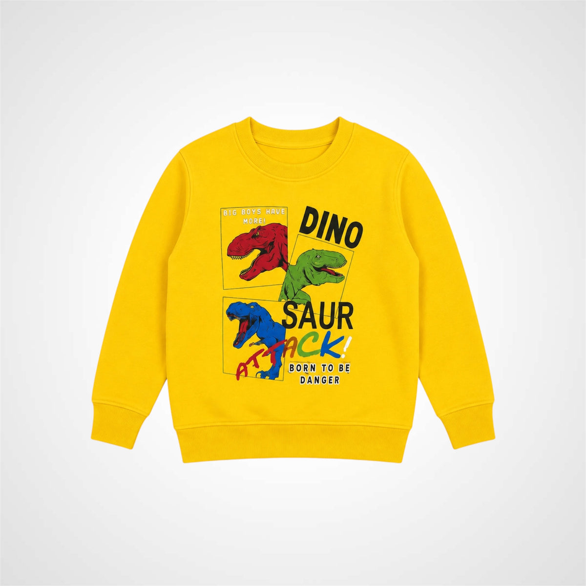 Kids Dinosaur Graphic Print Crewneck Sweatshirt