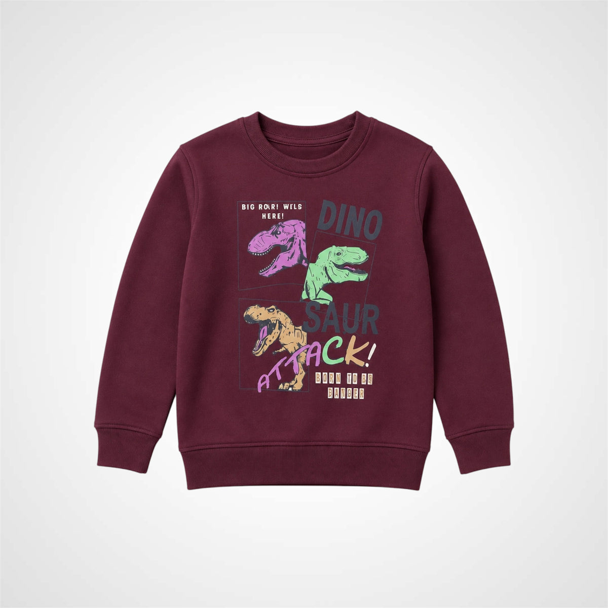 Kids Dinosaur Graphic Print Crewneck Sweatshirt