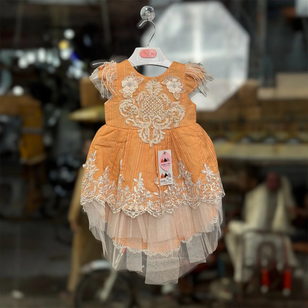 Luxury Party Wear Dress for Baby Girls
