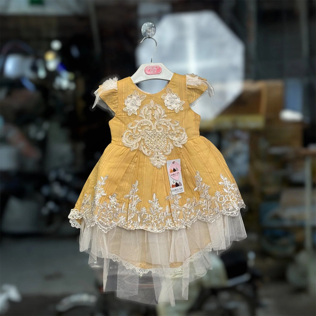 Luxury Party Wear Dress for Baby Girls